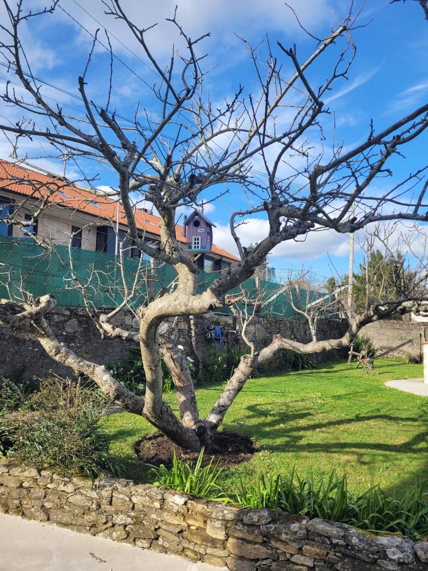 Besbello Suites Apartamento Santiago de Compostella Buitenkant foto